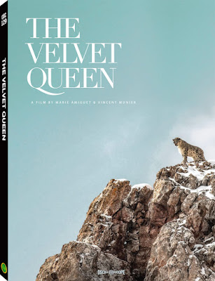 The Velvet Queen Dvd