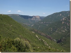 P6242329