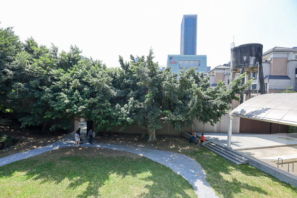 台中理仁柏舍美感公園編織好植光，編織藝術搭配老宅免費參觀拍照