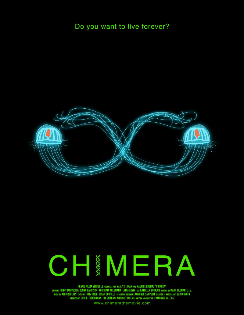 chimera film poster