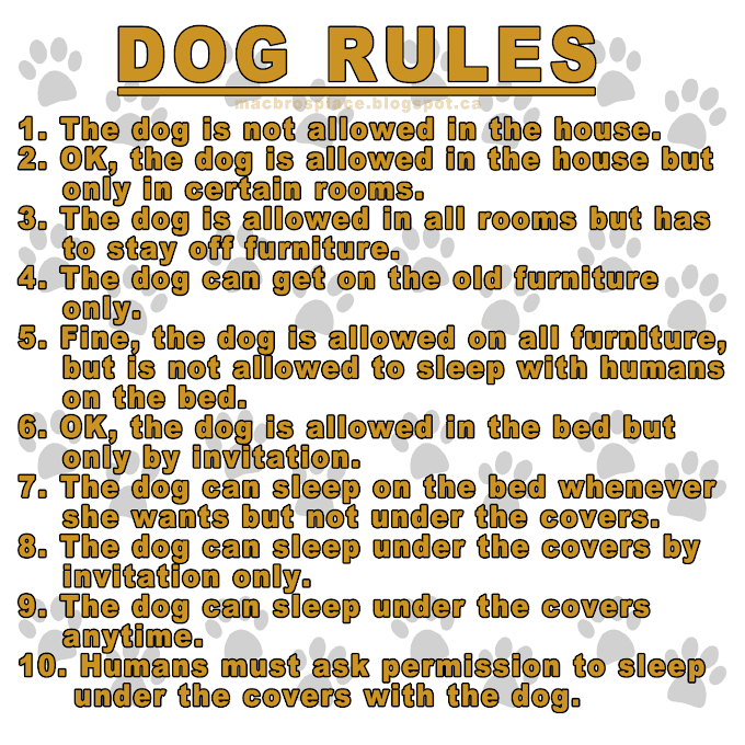 Dog Rules