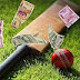 How to increase the chances to win online betting in cricket?