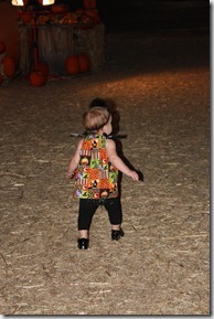pumpkin patch 035