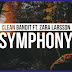 Makna dan Terjemahan lagu clean bandit feat zara larrson symphony