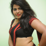 Sitara Hot Photos in Saree at Gundello Guchi Guchi Champake Movie Press Meet 18 