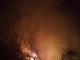 Pond of Fire TPE Academy