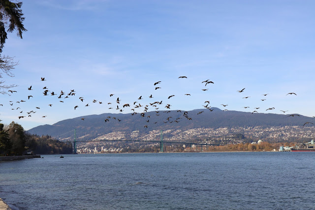 Planning your Vancouver trip - what to do and see