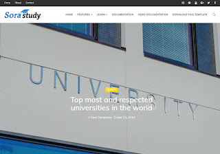 Sora Study Blogger Template