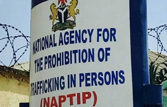 NAPTIP, Turkish rights group raise alarm on trafficking of Nigerians to Northern Cyprus