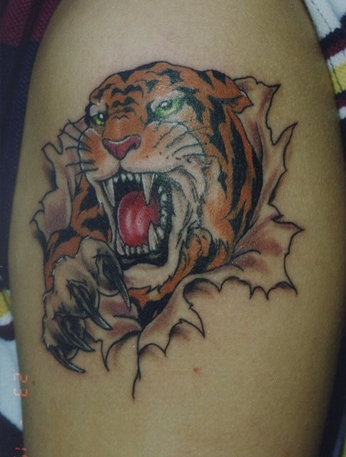 Labels Tiger tattoos