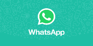Cara Backup WhatsApp Agar Chat dan Kontak Tidak Hilang