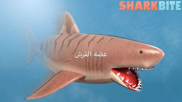 لعبه SharkBite (عضه القروش) في روبلكس