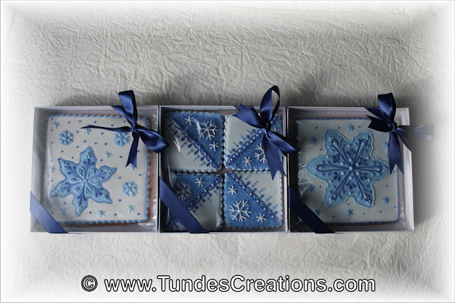 Square cookie gifts with TruColor by Tunde Dugantsi