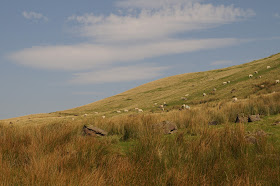 Llyn Y Fan Fach walk