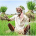 Which farming should the farmer do in which benefit