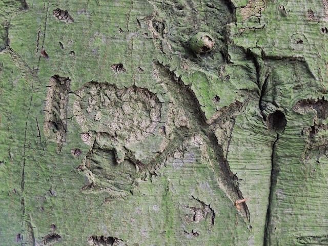 Kerven, Gimbornhof, Zevenaar; foto Robert van der Kroft