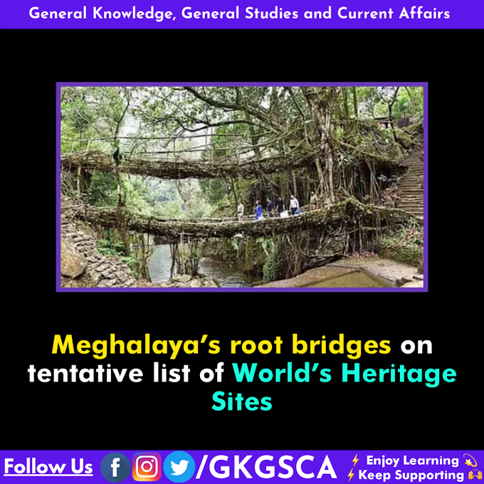 Meghalaya’s root bridges on tentative list of World’s Heritage Sites