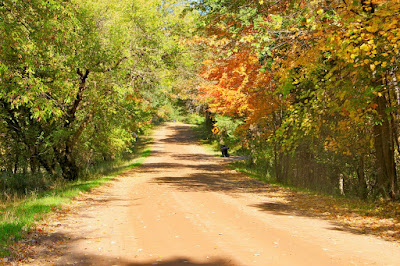 glad we took this before the township paved the road