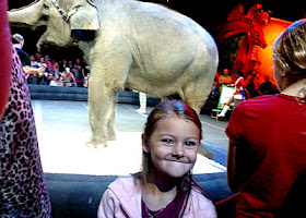 Tessa's first circus! She enjoyed seeing the animals up close during the preshow. This particular pachyderm painted pictures.