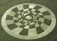 Crop Circles Are Fun!