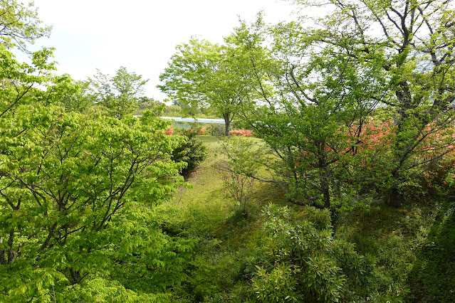 鳥取県西伯郡南部町鶴田 とっとり花回廊 プロムナード橋からの眺望