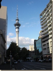 CIMG8491