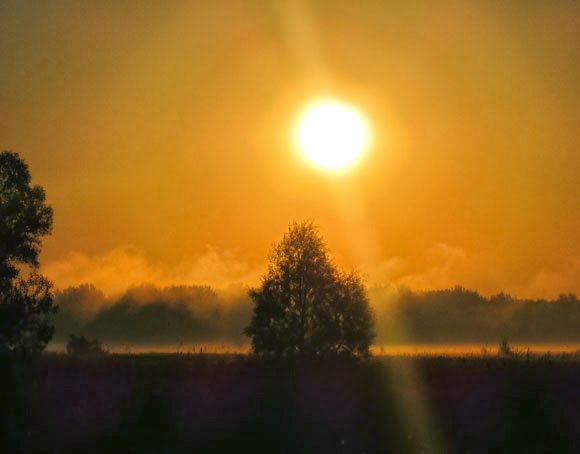 The sun rises over the misty meadow