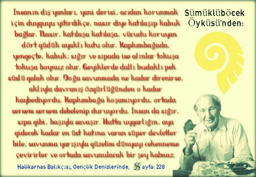 Halikarnas Balıkçısı (Cevat Şakir Kabaağaçlı) - Gençlik Denizlerinde