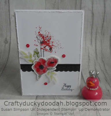 Craftyduckydoodah!, Susan Simpson UK Independent Stampin' Up! Demonstrator, Painted Poppies, Supplies Available 24/7 in my online store, 