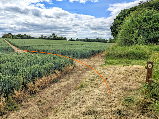 Turn left then head S, still on Holwell footpath 2