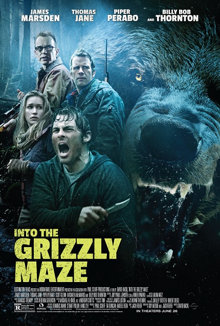 Into the Grizzly Maze (2015) Review