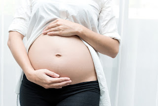 Fakta Unik Seputar Kehamilan Yang Wajib Diketahui Calon Ibu