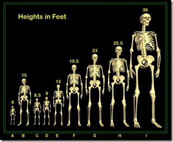 9skeletonspers-570x466