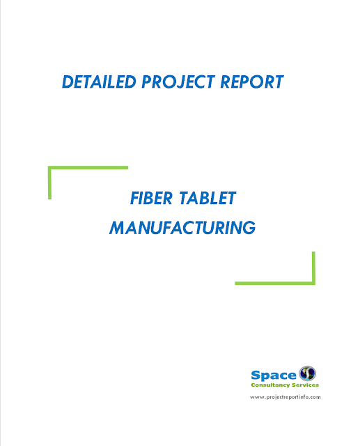 Project Report on Fiber Tablet Manufacturing