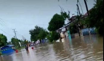 Banjir Melanda Pemukiman, Jalan, dan Persawahan di Beberapa Kecamatan- Lampung Timur