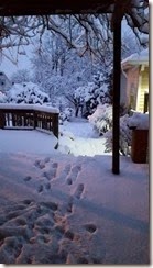 20150305_062812