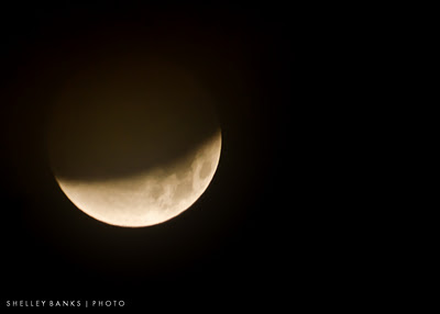 Eclipse of the moon - photo by Shelley Banks