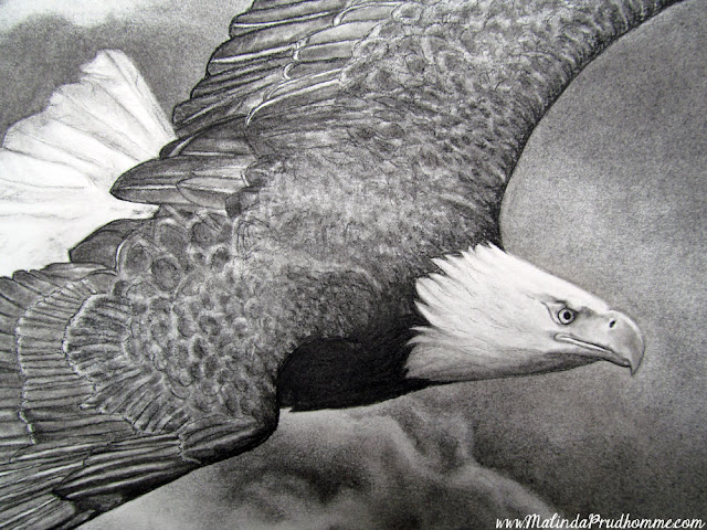 charcoal drawing, charcoal artist, eagle soaring, eagle art, commissioned artwork, custom art