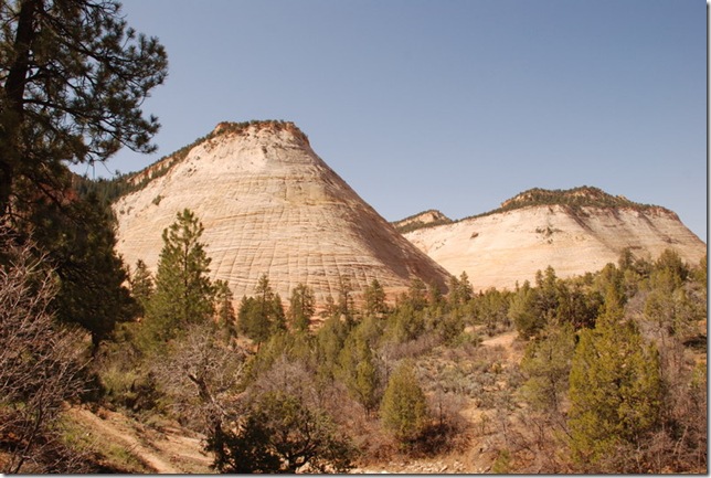 05-01-13 A East Side of Zion SR9 039