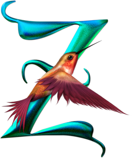 Abecedario de Colibrí. Hummingbird Alphabet.