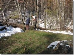 IMG_7921 IMG_7921