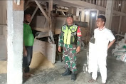Pantau Ketersediaan Padi, Babinsa Koramil 07/Jangka Laksanakan Komsos Dengan Pekerja Kilang Padi