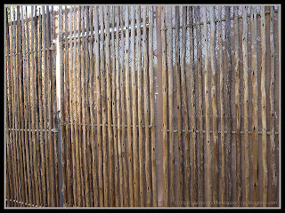 bamboo fence