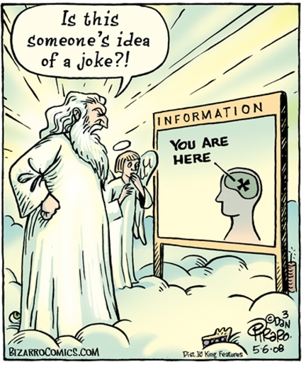 God: Is this someone's idea of a joke?! / Information: You are heare (in brain) - BIzarroComics.com, Dan Piraro, 2008