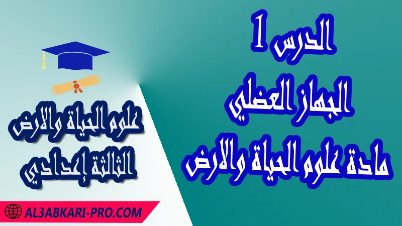 تحميل الدرس 1 الجهاز العضلي - مادة علوم الحياة والارض الثالثة إعدادي مادة علوم الحياة والارض , درس الجهاز العضلي , تمارين محلولة الجهاز العضلي , ملخص درس الجهاز العضلي , فروض مع الحلول الجهاز العضلي , أنشطة درس الجهاز العضلي , جذاذة درس الجهاز العضلي , وثائق درس الجهاز العضلي , امتحانات جهوية مع التصحيح , وثائق بيداغوجية , مادة علوم الحياة والارض مستوى الثالثة إعدادي الثالثة إعدادي , مادة علوم الحياة والارض بالتعليم الثانوي الاعدادي , 3ème année collège APIC , pdf