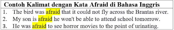 21 Contoh Kalimat Afraid di Bahasa Inggris dan Pengertiannya