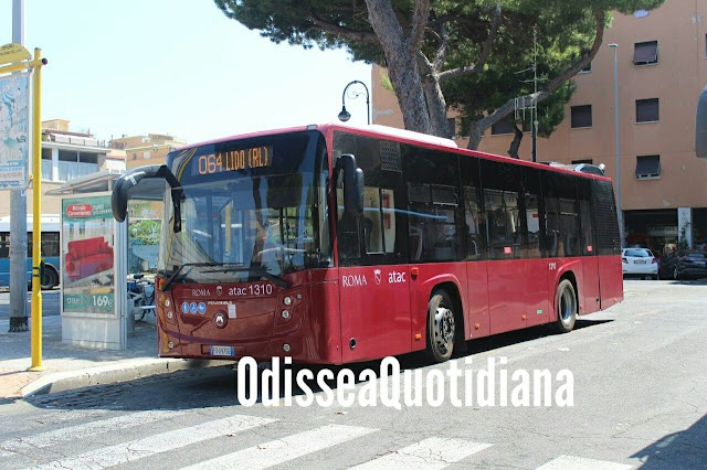 Dall'8 agosto cambia la rete bus di Ostia e Acilia: i dettagli