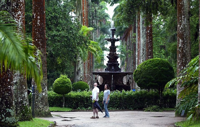 jardim botanico rio de jeneiro