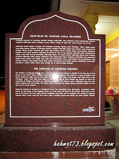 Berkongsi Cerita: Kelip-kelip, Kg. Kuantan, Kuala Selangor