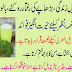 Surprising Long life,Anti-aging, Immunity, liver, skin and Heirs benefits of Gooseberry ((آملہ